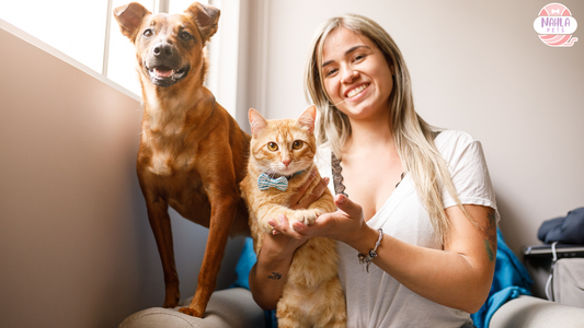 Conoce los cuidados que necesita tu mascota y como te puedes beneficiar de ellos